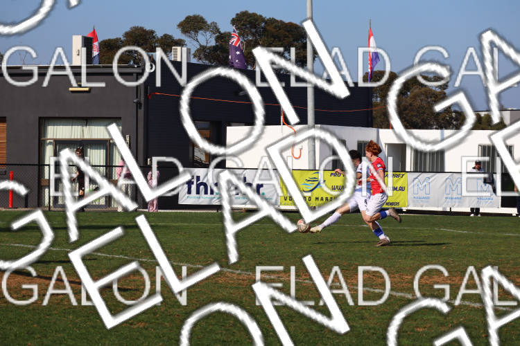Melbourne Knights vs Oakleigh Cannons photo