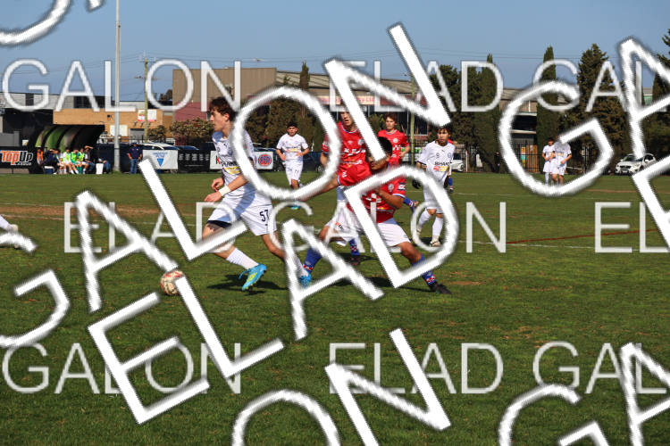 Melbourne Knights vs Oakleigh Cannons photo