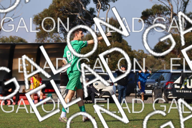 Melbourne Knights vs Oakleigh Cannons photo