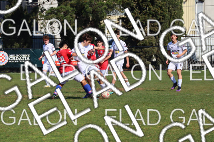 Melbourne Knights vs Oakleigh Cannons photo