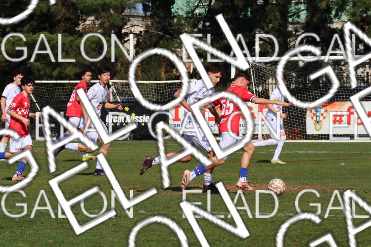 Melbourne Knights vs Oakleigh Cannons photo