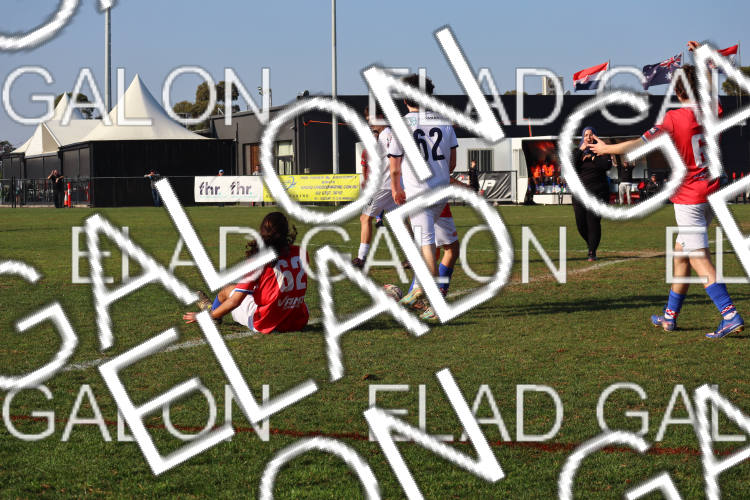 Melbourne Knights vs Oakleigh Cannons photo