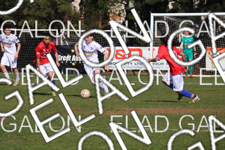 Melbourne Knights vs Oakleigh Cannons photo