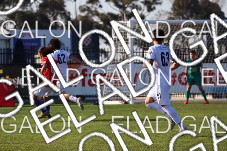 Melbourne Knights vs Oakleigh Cannons photo