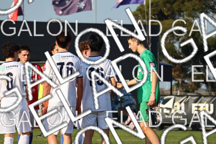 Melbourne Knights vs Oakleigh Cannons photo
