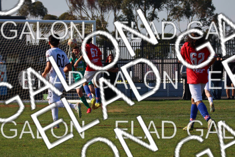 Melbourne Knights vs Oakleigh Cannons photo