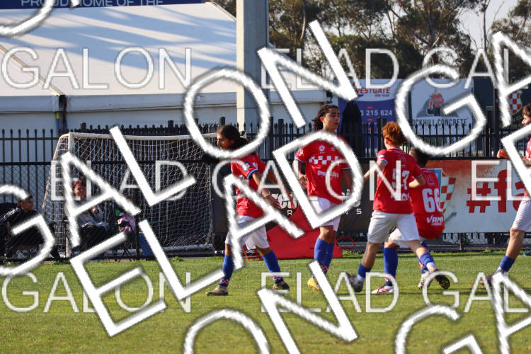 Melbourne Knights vs Oakleigh Cannons photo