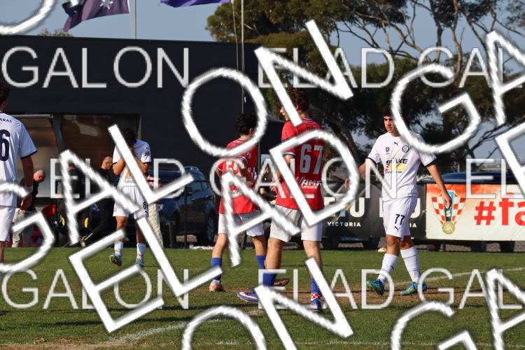 Melbourne Knights vs Oakleigh Cannons photo