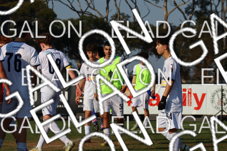 Melbourne Knights vs Oakleigh Cannons photo