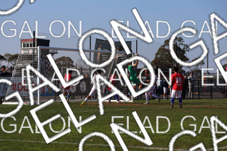 Melbourne Knights vs Oakleigh Cannons photo