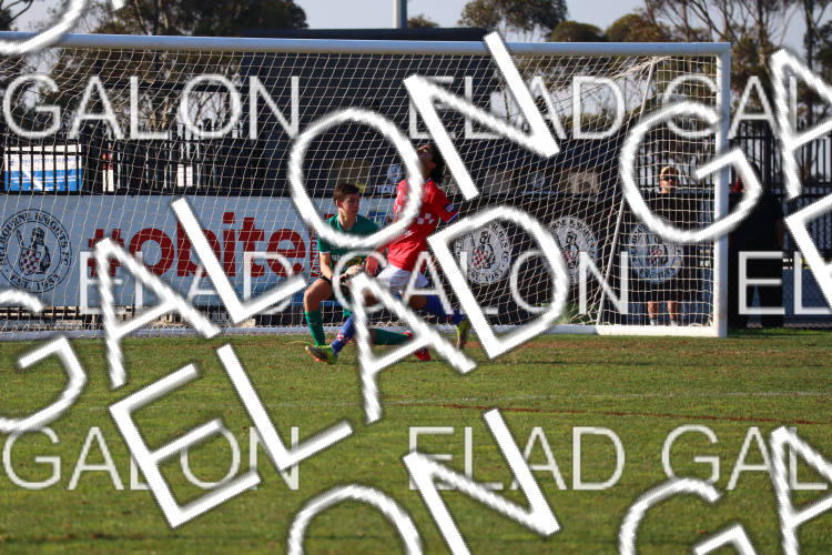 Melbourne Knights vs Oakleigh Cannons photo