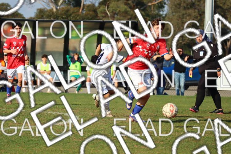 Melbourne Knights vs Oakleigh Cannons photo