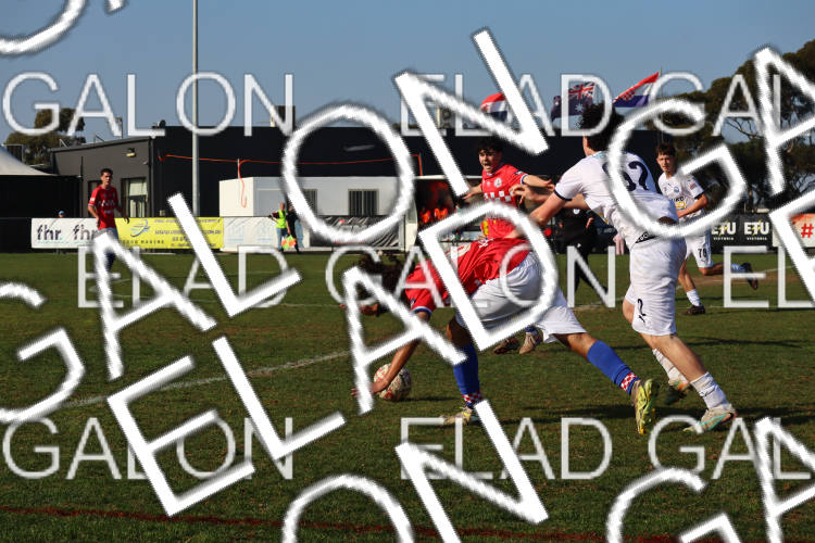 Melbourne Knights vs Oakleigh Cannons photo