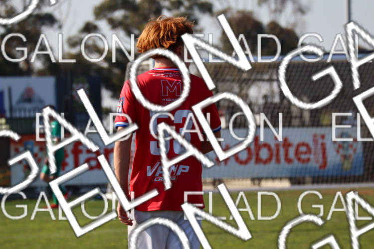 Melbourne Knights vs Oakleigh Cannons photo
