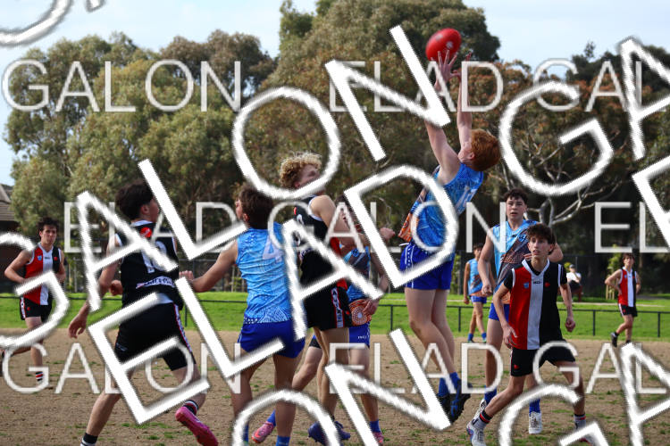 AJAX U16 Boys COMETS vs Prahran U16 Boys HOLMES photo
