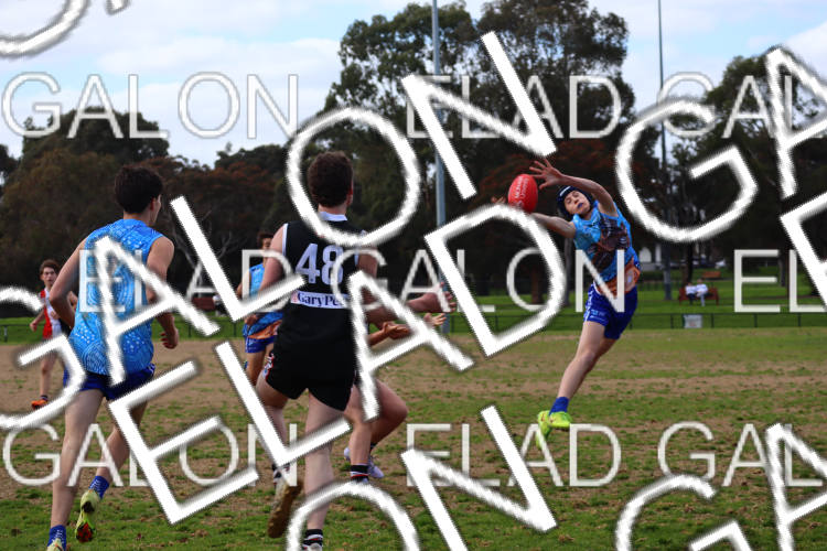 AJAX U16 Boys COMETS vs Prahran U16 Boys HOLMES photo