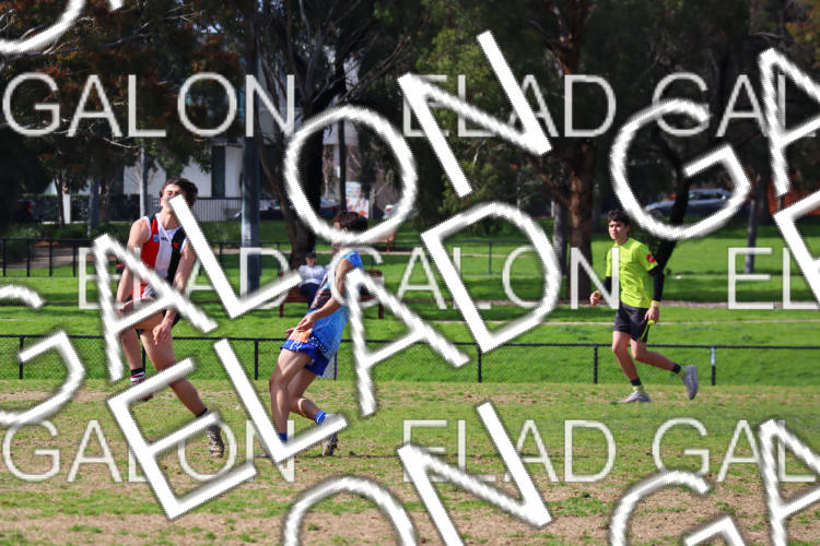 AJAX U16 Boys COMETS vs Prahran U16 Boys HOLMES photo