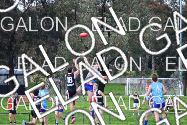 AJAX U16 Boys COMETS vs Prahran U16 Boys HOLMES photo