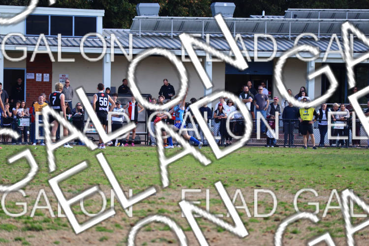 AJAX U16 Boys COMETS vs Prahran U16 Boys HOLMES photo