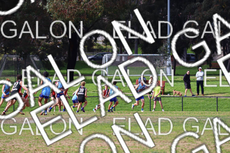 AJAX U16 Boys COMETS vs Prahran U16 Boys HOLMES photo