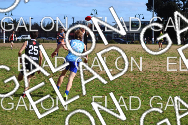 AJAX U16 Boys COMETS vs Prahran U16 Boys HOLMES photo